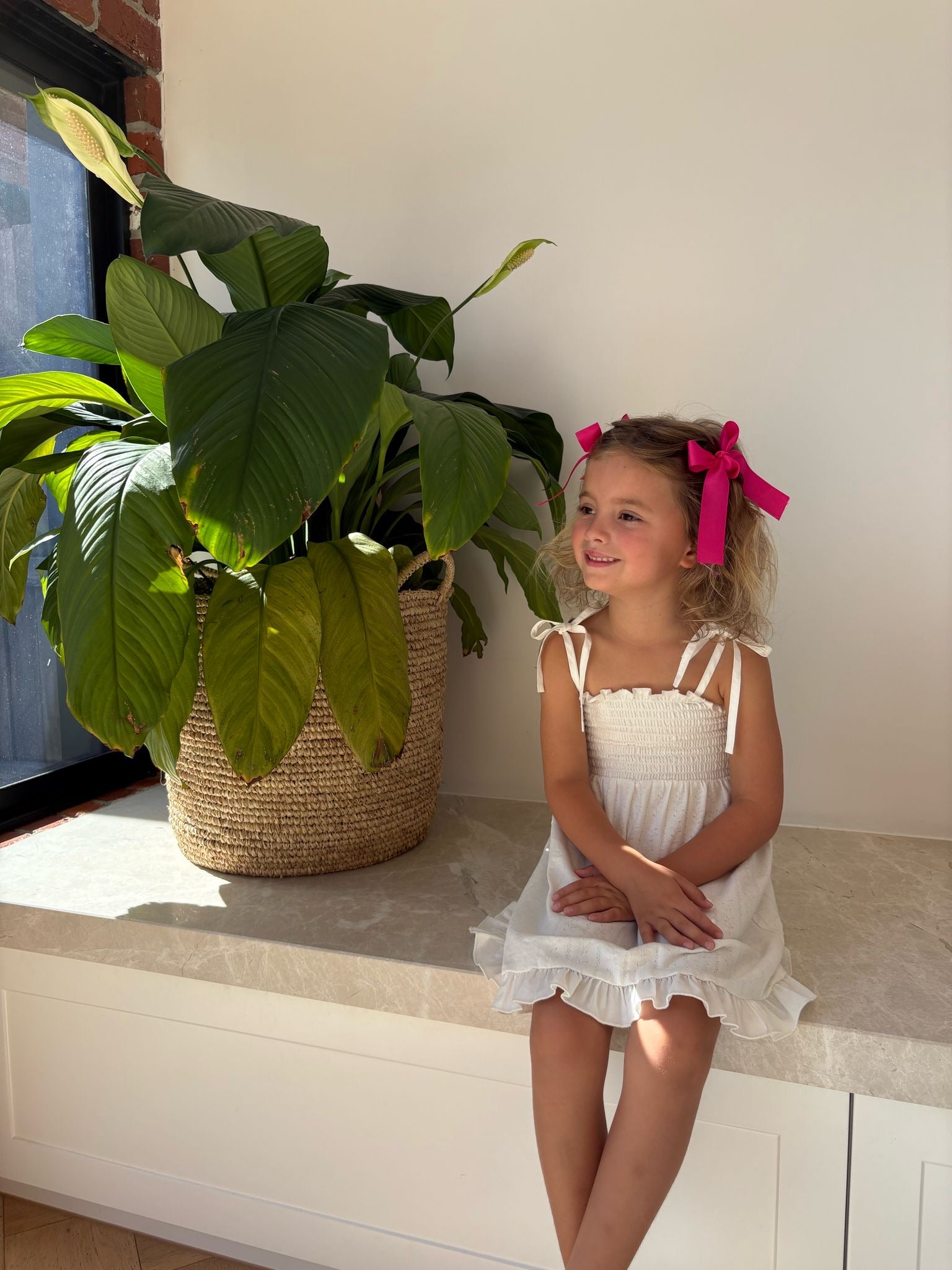 Willow Pointelle Dress