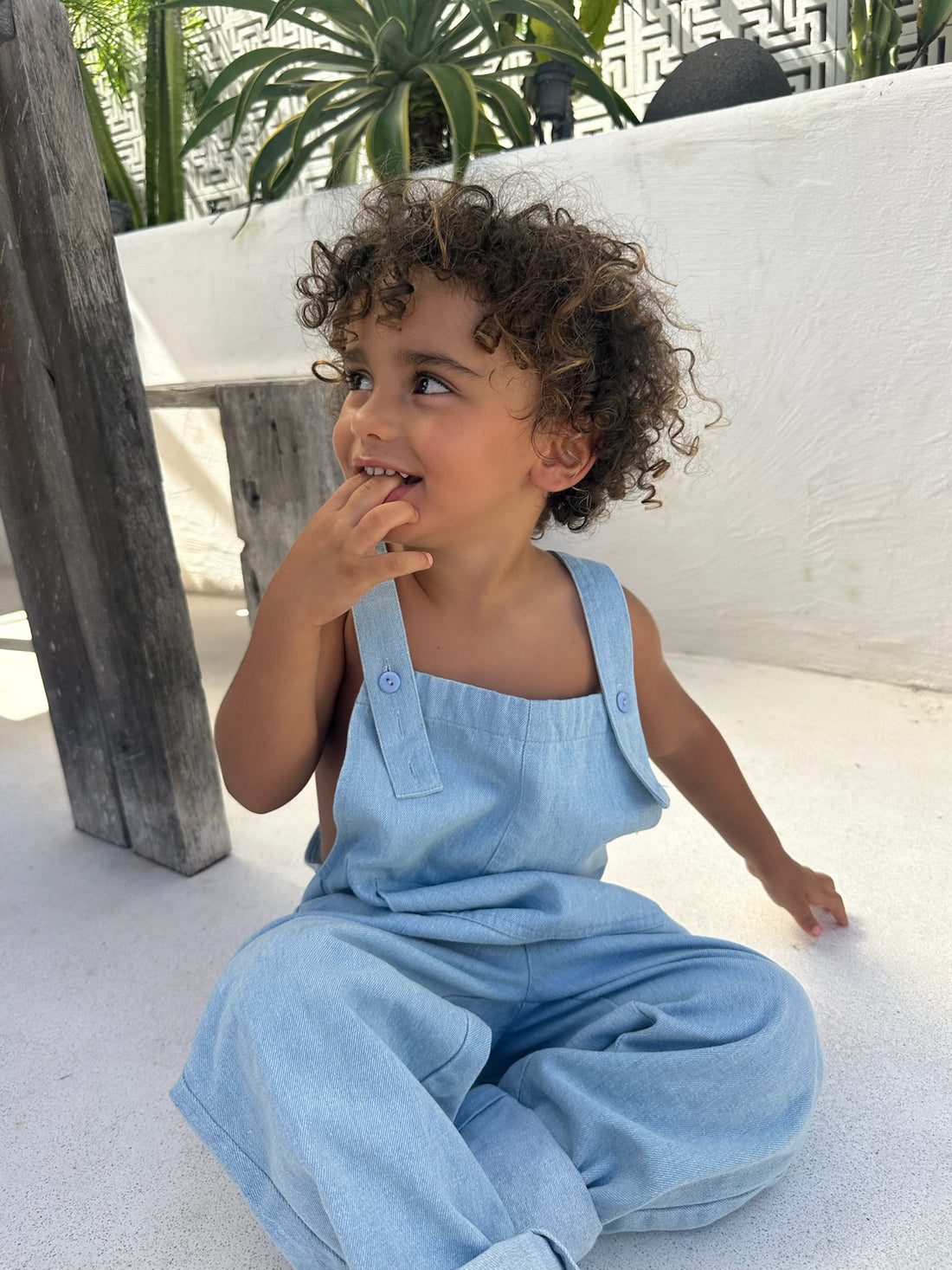 Essential Denim Overalls