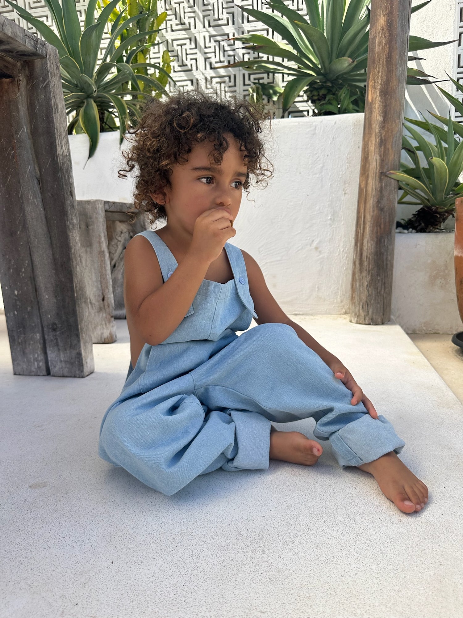 Essential Denim Overalls